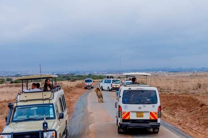 Nairobi National Park and Beads Factory Private Tour - The guided game drive: how you get better sightings (and fewer misses)
