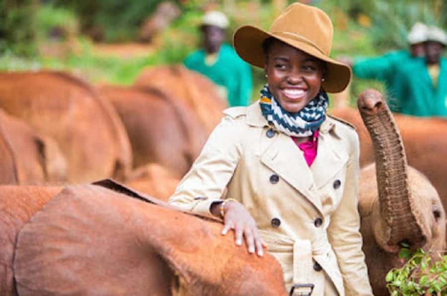 Nairobi national park and elephant orphanage - Nairobi National Park viewing time: what you’re actually looking for
