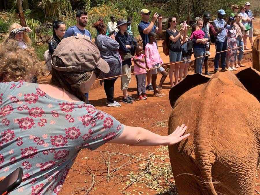 Nairobi national park and elephant orphanage - Pickup, timing, and the small issues to plan around