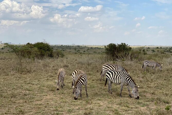 Nairobi national park and Giraffe center - What you really get from pickup, tickets, and bottled water
