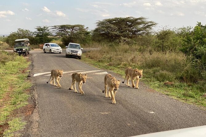 Nairobi national park and Giraffe center - Who should book this safari day