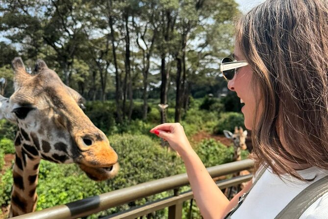 Nairobi National Park and Giraffe Center Daily Tours. - The 4-hour game drive: what it really means for your chances