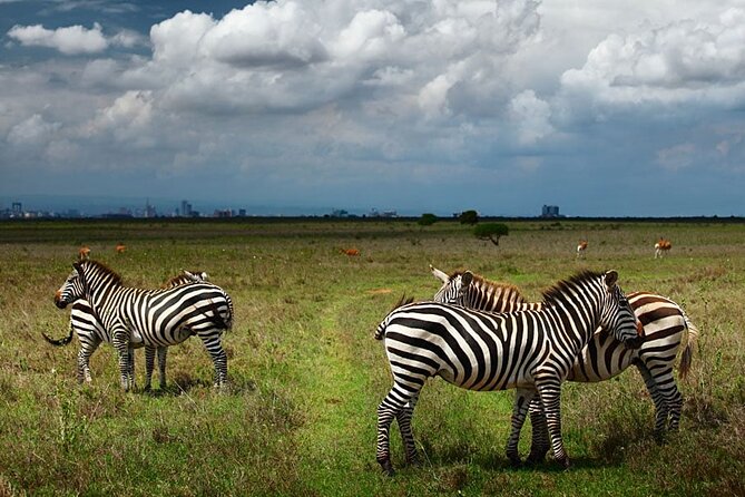 Nairobi National Park and Giraffe Center Day Tour - Key highlights worth knowing