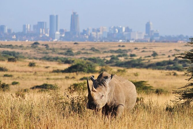 Nairobi National Park and Giraffe Center Day Tour - What to bring so the day feels easy