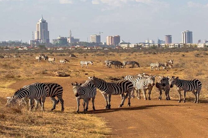 Nairobi National Park and Giraffe Center from Kenya with a Guide - Timing, Guides, and Group Size That Make the Day Work