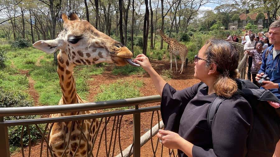 Nairobi National Park, Baby Elephant and Giraffe Centre Tour - Key highlights you should care about