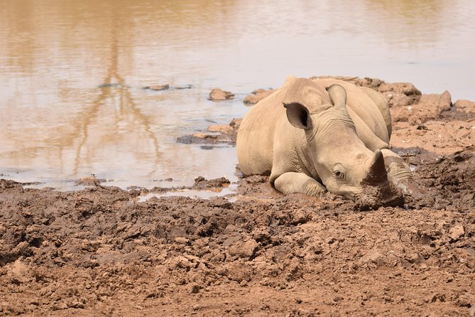 Nairobi National Park, Baby Elephant Orphanage and Giraffe Center - Kazuri Beads Factory Stop, A Craft Break That Complements the Safari