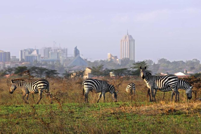 Nairobi National Park, Baby Elephant Orphanage and Giraffe Center - Getting Around in Nairobi, What the Pickup and Open-Roof Van Change
