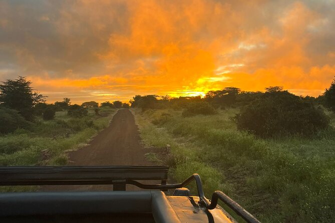 Nairobi National Park Daily Game drives. - Hippo Dam and Hyena Dam: water points that change the game
