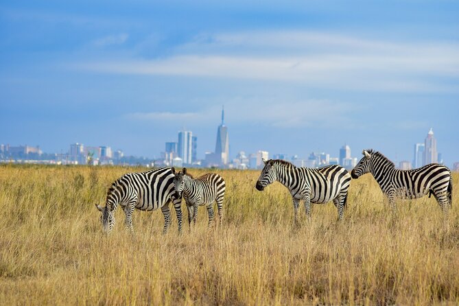 Nairobi National Park Early Morning or Afternoon Game Drive - When the drive stops for the Ivory Burning Site monument