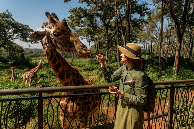 Nairobi National Park, Elephant Orphanage and Giraffe Centre - Giraffe Centre Feeding: The Tall, Friendly Finale