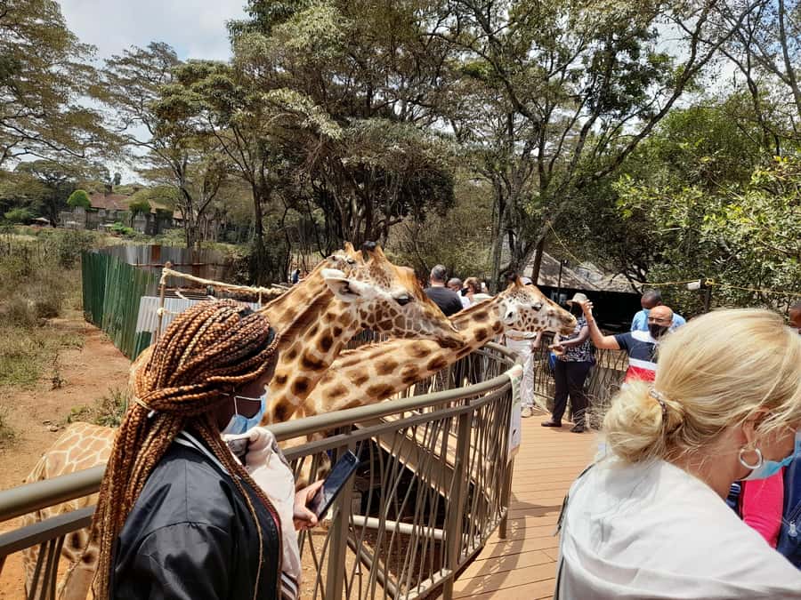Nairobi: National Park, Elephant Orphanage, and Giraffe Tour - Nairobi National Park, skyline safari and a sunrise start