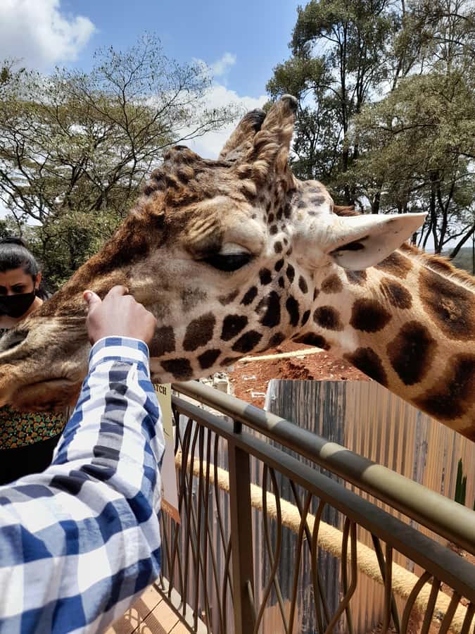Nairobi: National Park, Elephant Orphanage, and Giraffe Tour - Kobe Tough Beads factory: jewelry with recycled-material meaning