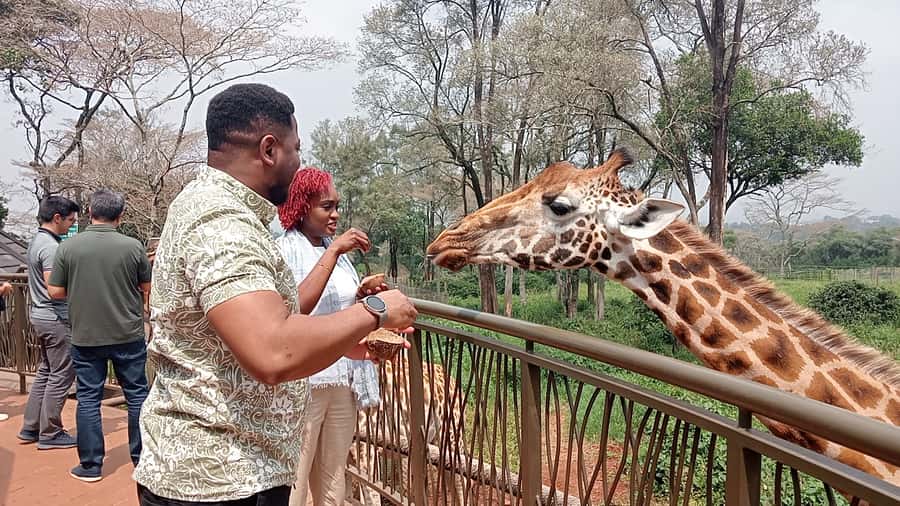 Nairobi: National Park, Elephant Orphanage, & Giraffe Centre - Key things you will notice on this Nairobi wildlife day