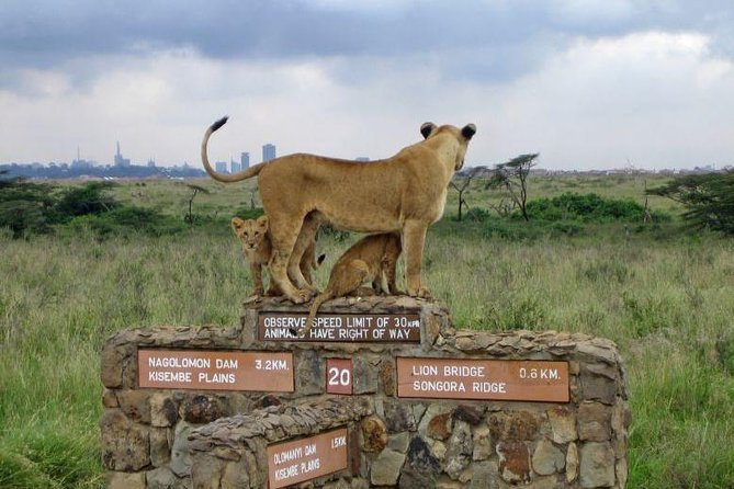 Nairobi National Park, Elephant Orphanage, Giraffe Centre Tour - Key Points You Will Care About