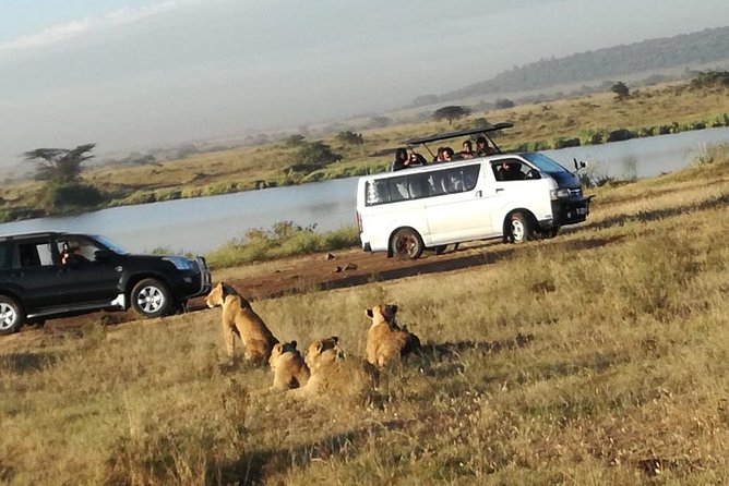 Nairobi National Park, Elephant Orphanage, Giraffe Centre Tour - Karen Blixen Museum: A Calmer Pause in the Middle of the Day