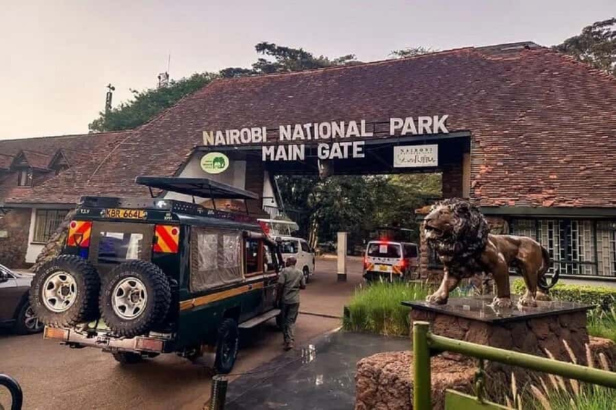 Nairobi: National Park, Elephant Orphanage & Giraffe Tour - Nairobi National Park game drive: where the wild feels close