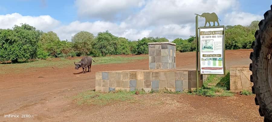 Nairobi; National Park, Elephant Sanctuary & Giraffe Center. - Nairobi County lunch and market stop, plus a break from wildlife time