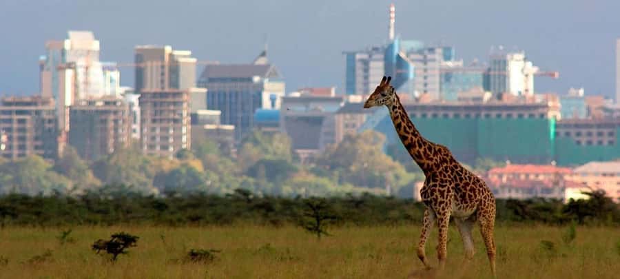Nairobi; National Park, Elephant Sanctuary & Giraffe Center. - Price and logistics, what your $40 covers and what costs extra