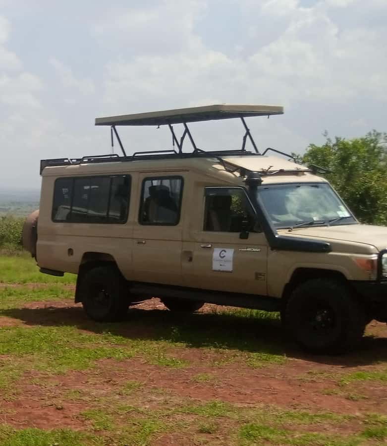 Nairobi National Park Full-Day Tour: Private 4WD with Guide - Key highlights at a glance