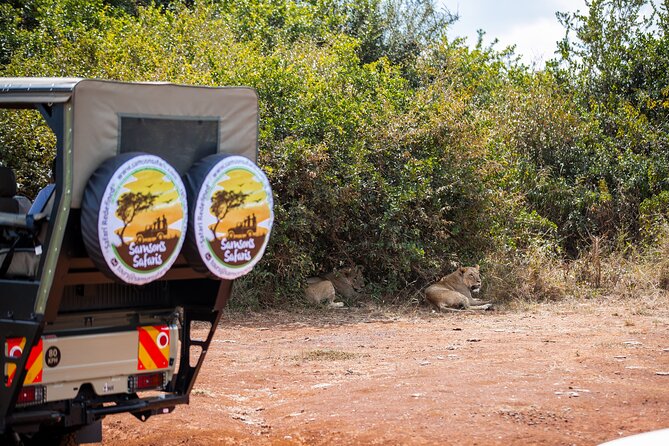 Nairobi National Park Game Drive - Shared Experience in Open Jeep - Nairobi National Park, 3 hours, and a real safari feel