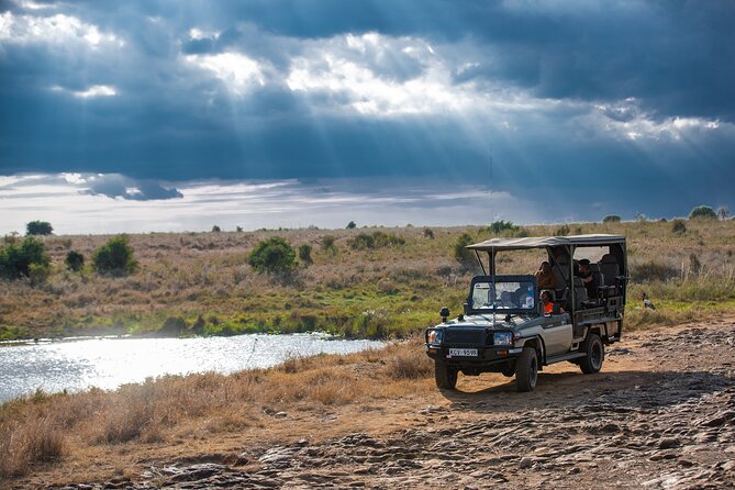 Nairobi National Park Game Drive - Shared Experience in Open Jeep - What to bring so the drive stays comfortable