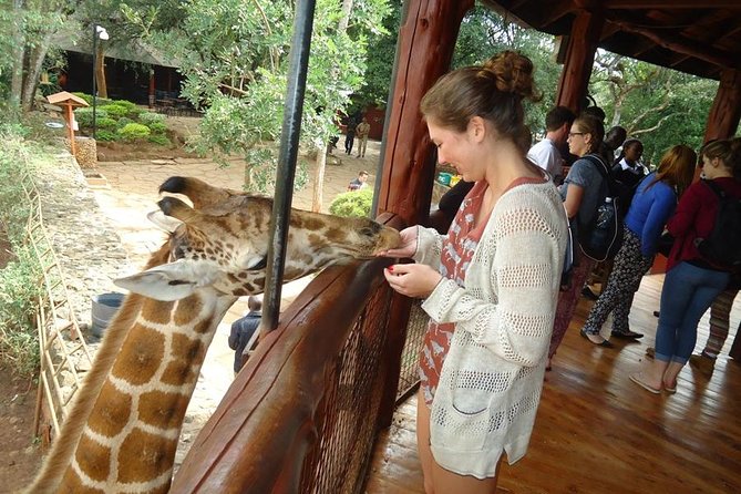Nairobi National Park, Giraffe Center and Elephant Orphanage Day Tour from Nairobi - Nairobi National Park Game Drive: Lions, Rhinos, and the Art of Spotting