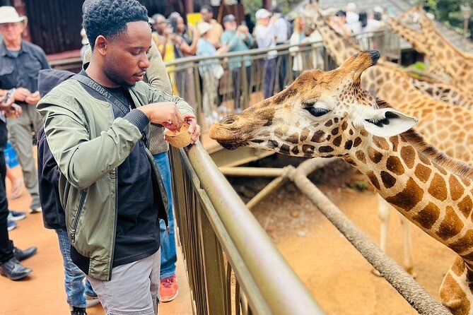 Nairobi National Park Giraffe Center Carnivore Lunch - Key highlights at a glance