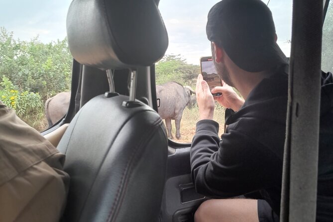 Nairobi National Park Giraffe Center Carnivore Lunch - Stop 2: Giraffe Centre feeding, and why it matters