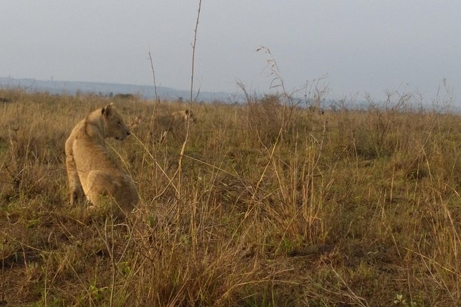 Nairobi National Park, Giraffe Center & Karen Blixen Museum - Price math: what the $85.35 actually buys, and what it won’t