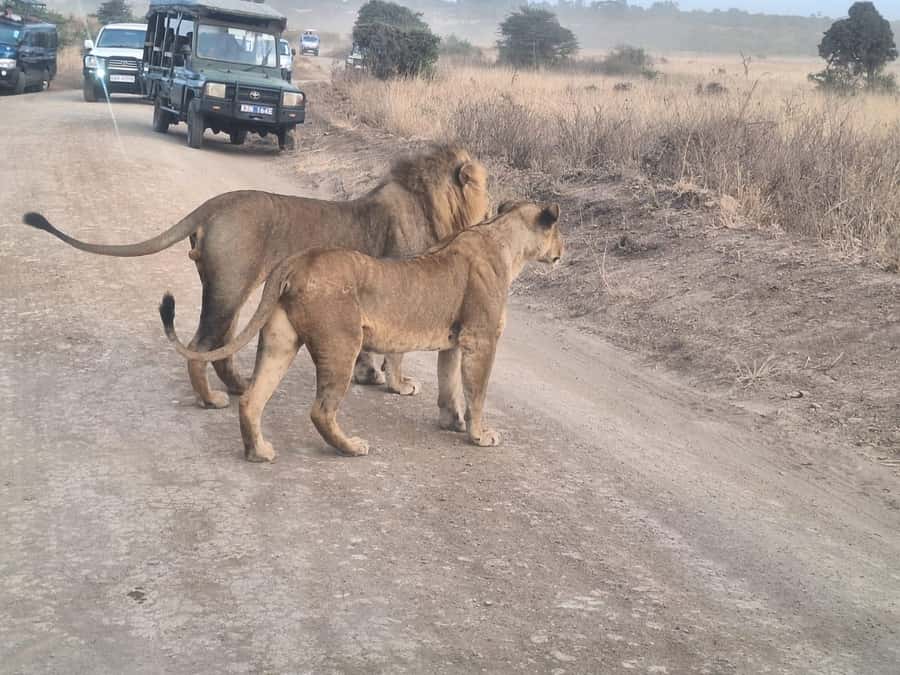 Nairobi National Park,Giraffe Center,Orpanage&Karen Blixxen - Key things I’d circle before you go