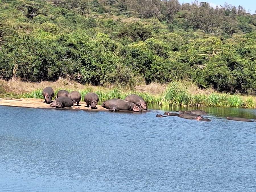Nairobi National Park,Giraffe Center,Orpanage&Karen Blixxen - Bomas of Kenya village: songs, dances, and 42 ethnic groups