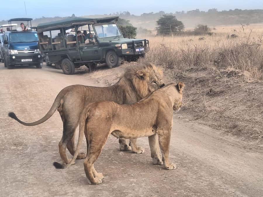Nairobi National Park,Giraffe Center,Orpanage&Karen Blixxen - Who this suits best, and who should reconsider