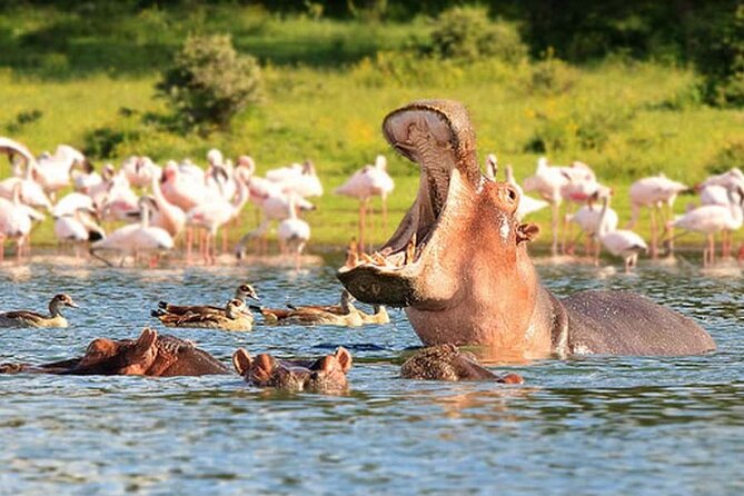 Nairobi National Park Group Tour - The ivory burning site: more than a roadside stop