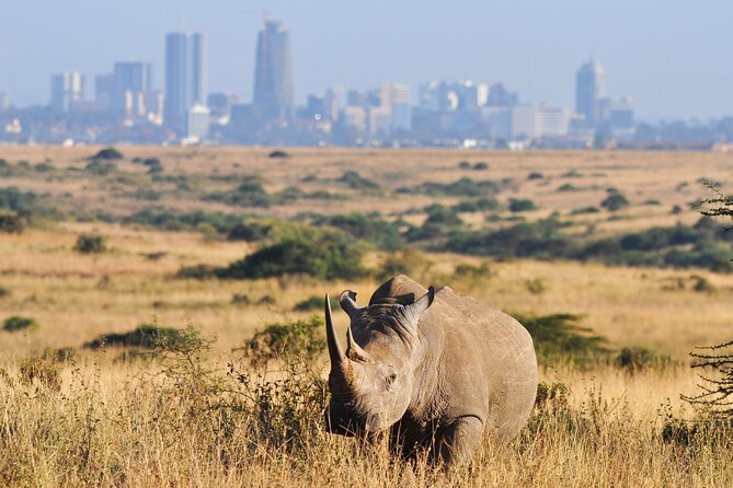 Nairobi National Park Group Tour - Who this Nairobi National Park group tour is best for