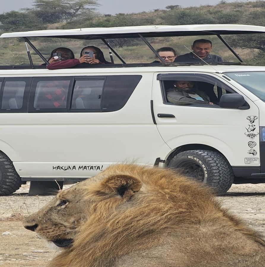 Nairobi: National Park Guided Game Drive - Key things to know before you go