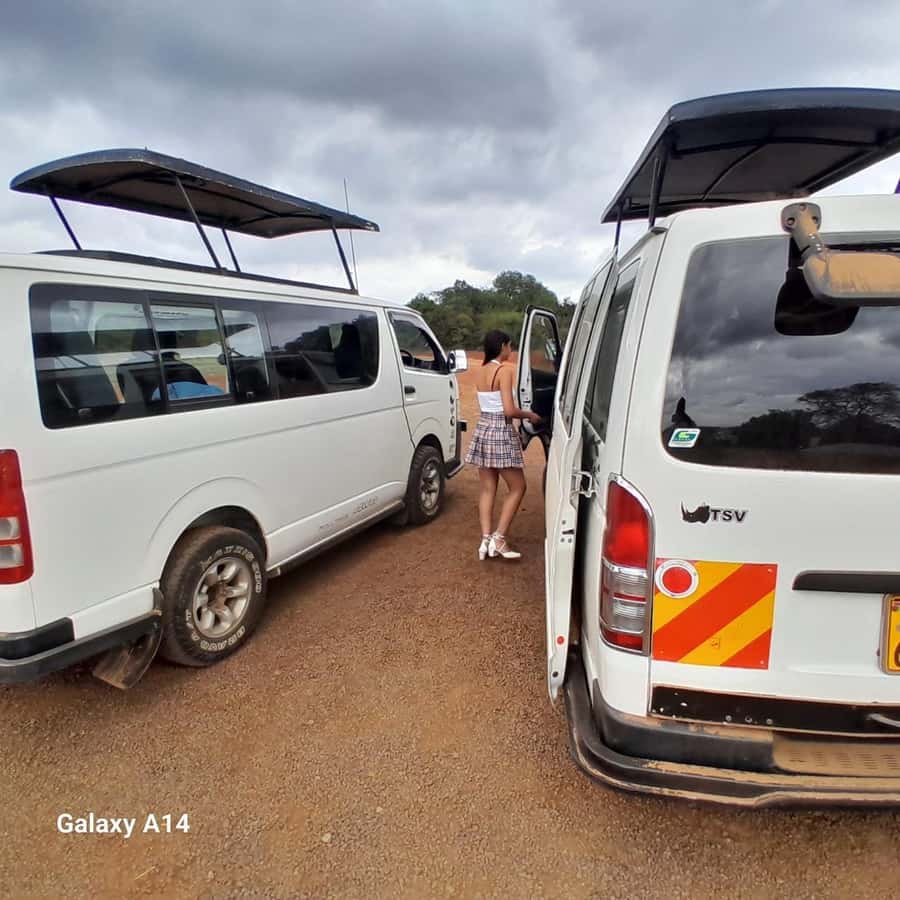 Nairobi National Park: Half-Day Group Tour with Pickup - Wildlife You Might See: From Black Rhino to Crocodile Time