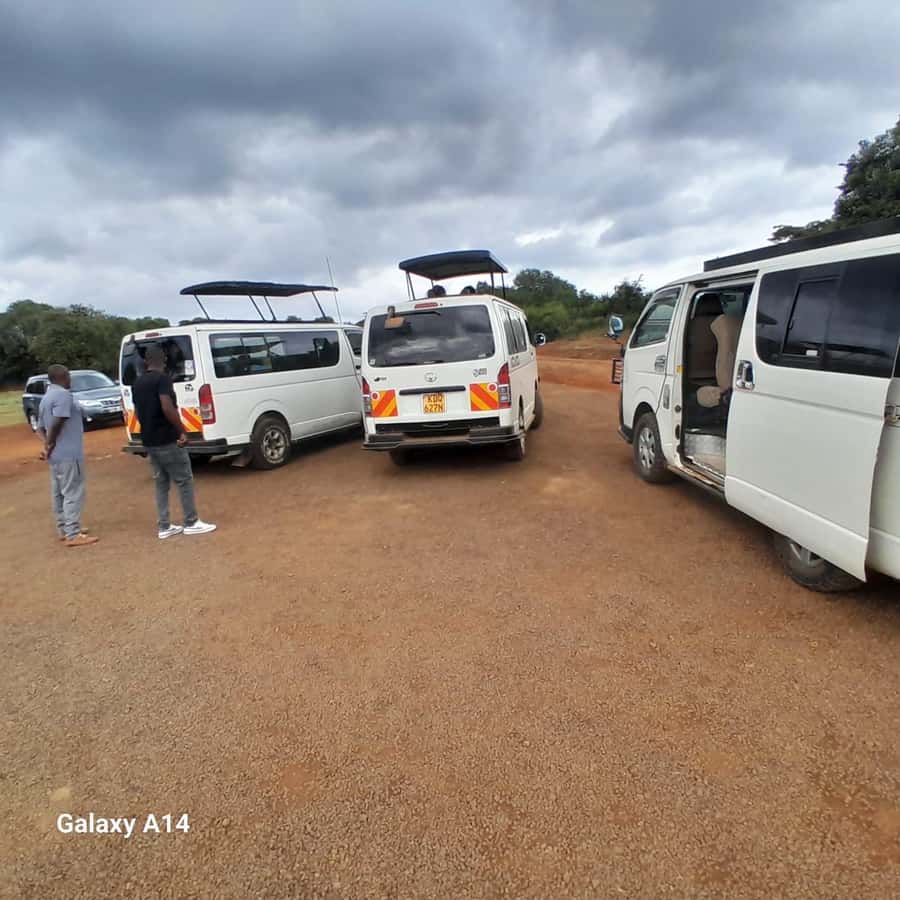 Nairobi National Park: Half-Day Group Tour with Pickup - The Guide Factor: Names You Might Hear, Skills You Should Expect