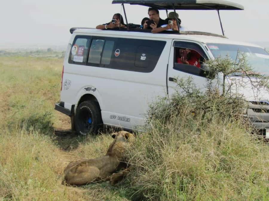 Nairobi National Park Half-Day Guided Game Drive With Pickup - Pickup, Van Time, and How the 5-Hour Format Plays Out