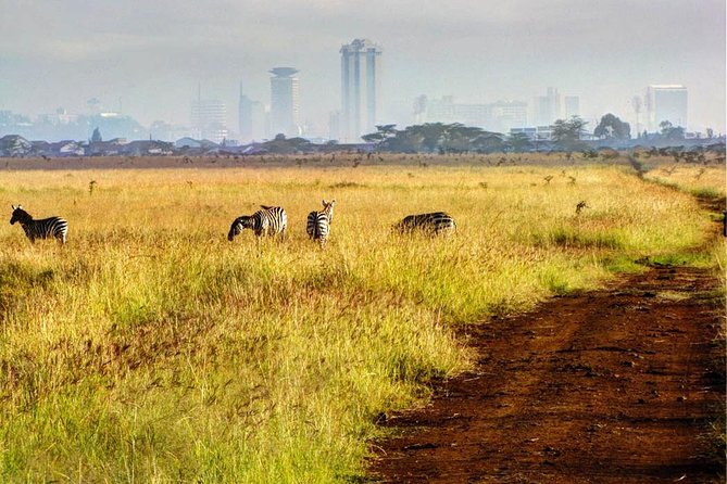 Nairobi National Park: Half Day Guided Tour From Nairobi - Price and what you really get for $175