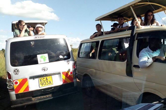 Nairobi National Park Half-Day Tour; Free Wi-Fi connection - Open Rooftop Vans and What That Means for Your Sightings