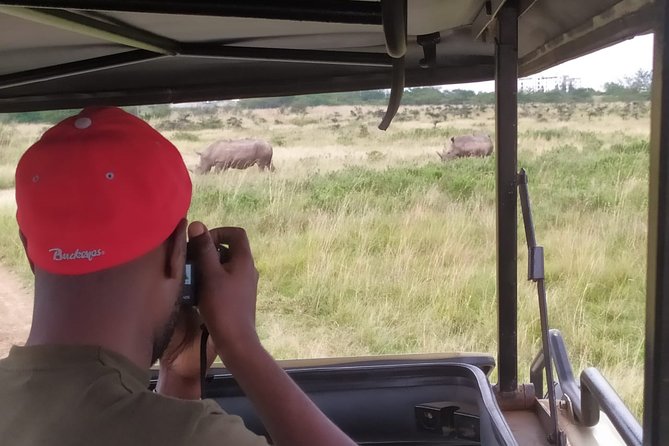 Nairobi National Park Half-Day Tour; Free Wi-Fi connection - David Sheldrick Elephant Orphanage: the nursery walk hits close to home