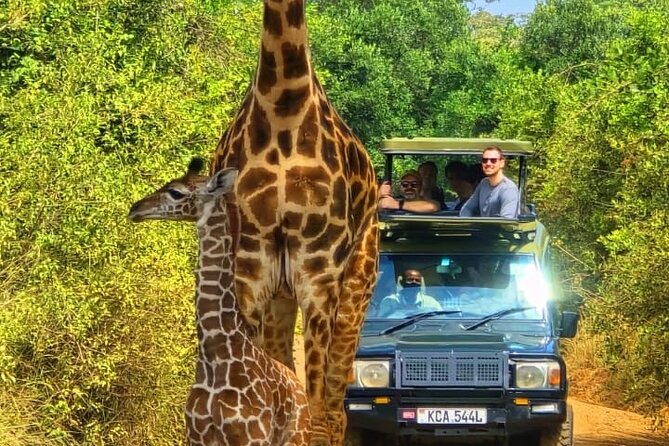 Nairobi National Park Half Day Tour with Landcruiser with Pickup - The Land Cruiser with an open pop roof: how to make it work
