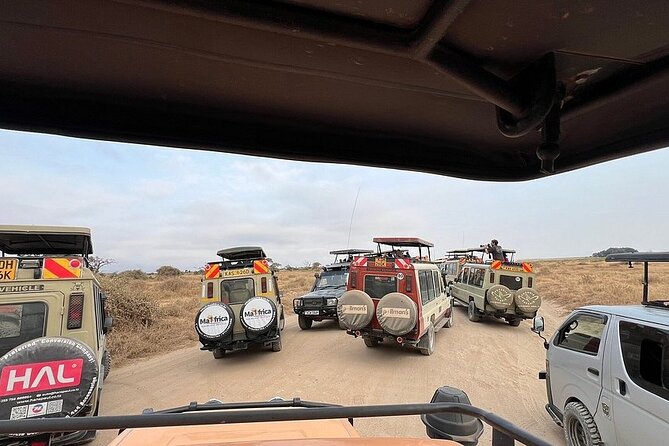 Nairobi National Park Half Day with Pickup - Who this is best for