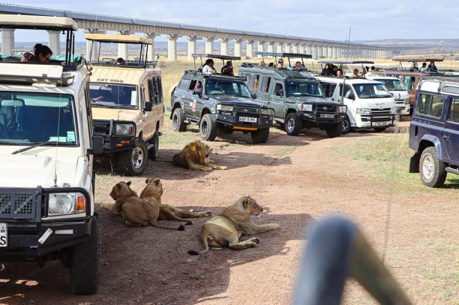 Nairobi National Park Morning Game Drive With Free Pickup - How the van rhythm and timing affect your chances