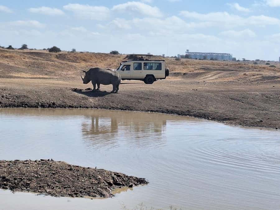 Nairobi National Park Morning Or Evening Game Drive Tour - Key things to know before you go