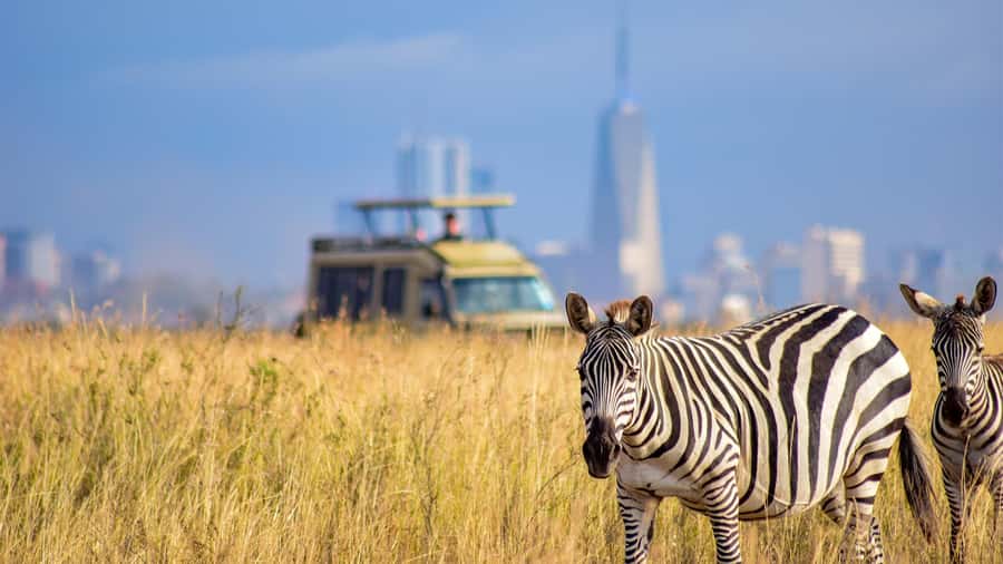 Nairobi National Park, Orphanage, Giraffe & Beads Tour - City Safari Setup: pickup, timing, and your open-roof jeep