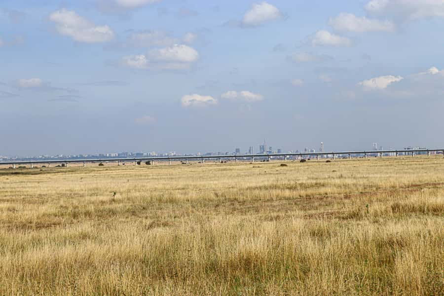 Nairobi National Park, Orphanage, Giraffe & Beads Tour - Lunch in Nairobi: take the break, plan for food cost