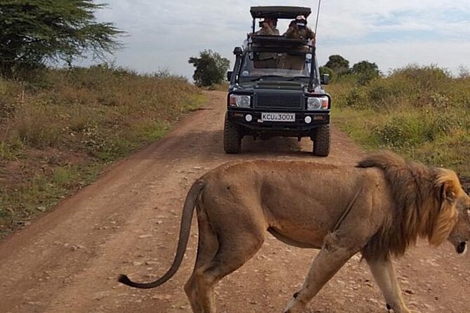 Nairobi National park private day tour - Key highlights you will feel right away