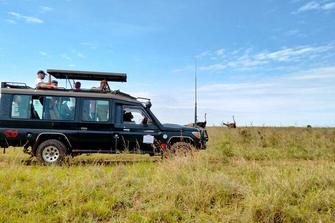 Nairobi National park private day tour - Lunch at Carnivore Restaurant or Mamba Village: budget it in